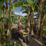Living Landscapes Educator Flo Mansbridge in the Eden Project’s Global Gardens